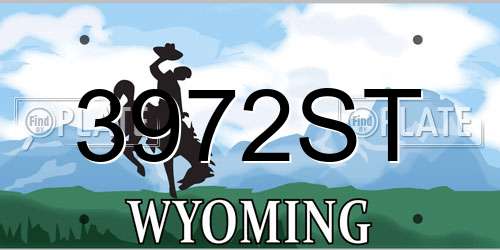 3972ST Wyoming License Plate