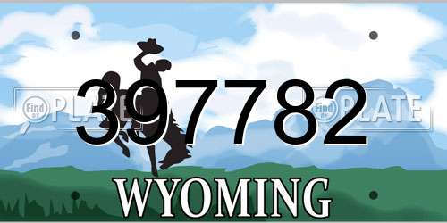 397782 Wyoming License Plate