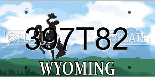 397T82 Wyoming License Plate