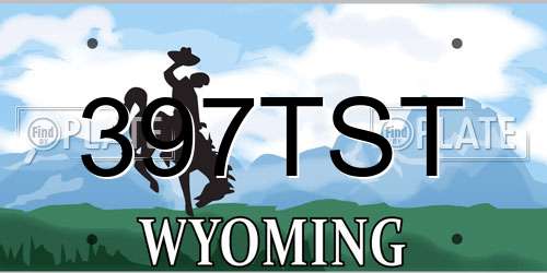 397TST Wyoming License Plate