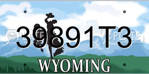 39891T3 Wyoming License Plate