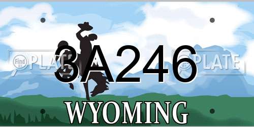 3A246 Wyoming License Plate