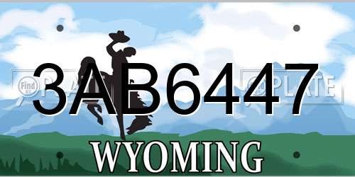 3AB6447 Wyoming License Plate