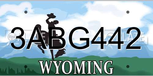 3ABG442 Wyoming License Plate