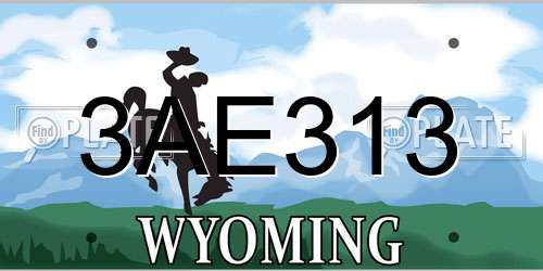 3AE313 Wyoming License Plate