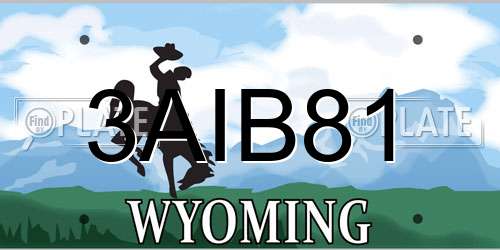 3AIB81 Wyoming License Plate