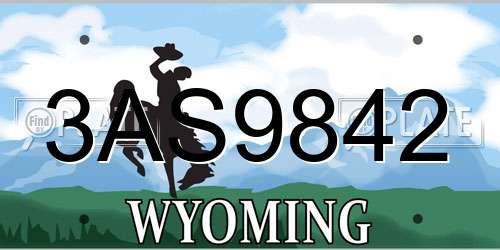 3AS9842 Wyoming License Plate