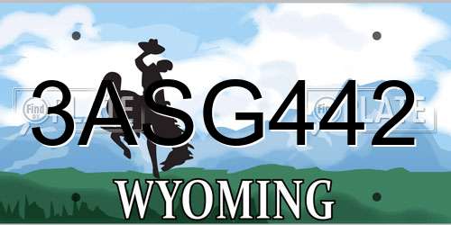 3ASG442 Wyoming License Plate