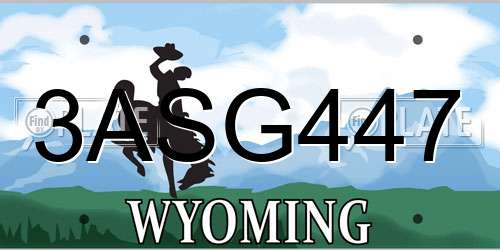 3ASG447 Wyoming License Plate