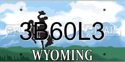 3B60L3 Wyoming License Plate