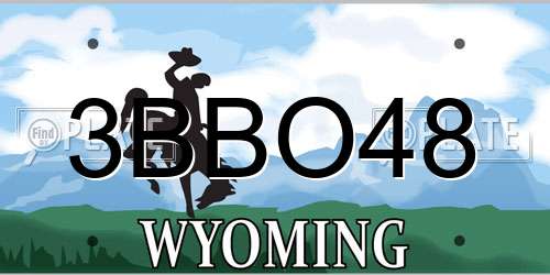 3BBO48 Wyoming License Plate