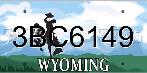 3BC6149 Wyoming License Plate