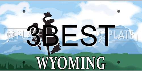 3BEST Wyoming License Plate