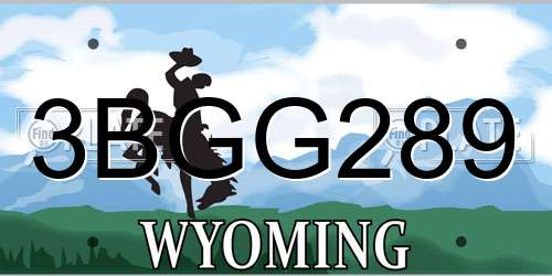 3BGG289 Wyoming License Plate