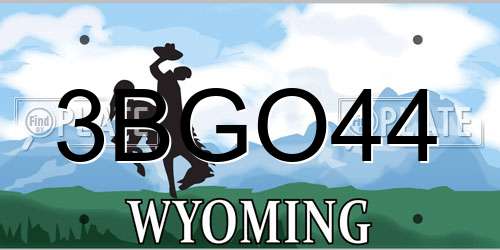 3BGO44 Wyoming License Plate
