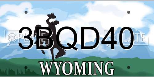 3BQD40 Wyoming License Plate