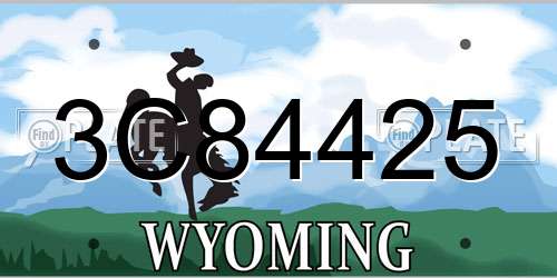 3C84425 Wyoming License Plate