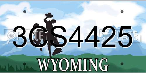 3CS4425 Wyoming License Plate