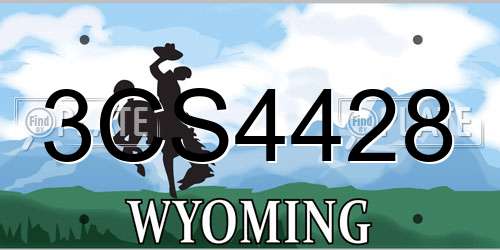 3CS4428 Wyoming License Plate
