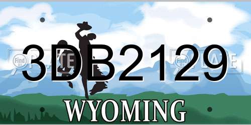 3DB2129 Wyoming License Plate
