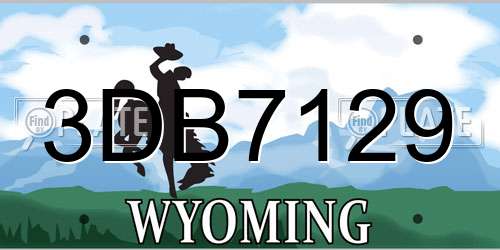 3DB7129 Wyoming License Plate