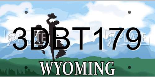 3DBT179 Wyoming License Plate