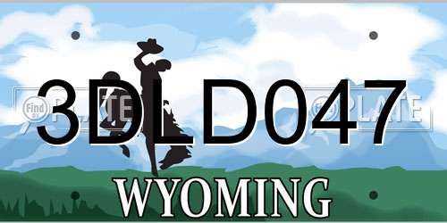3DLD047 Wyoming License Plate