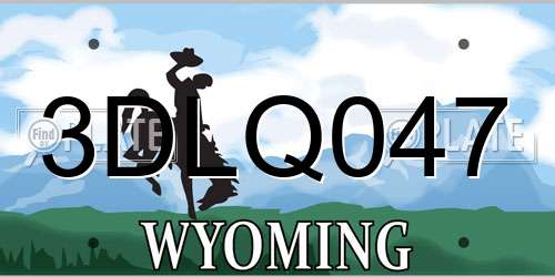 3DLQ047 Wyoming License Plate