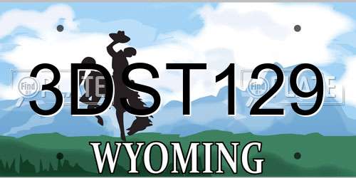 3DST129 Wyoming License Plate