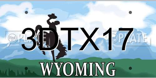 3DTX17 Wyoming License Plate