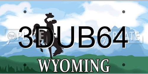3DUB64 Wyoming License Plate