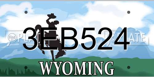 3EB524 Wyoming License Plate