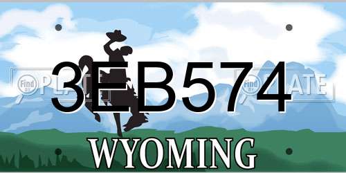 3EB574 Wyoming License Plate