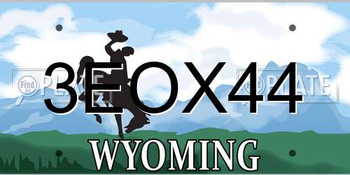 3EOX44 Wyoming License Plate