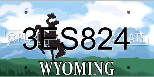 3ES824 Wyoming License Plate