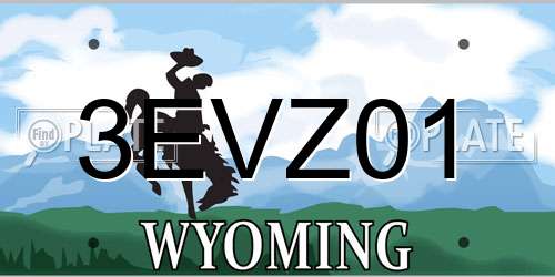 3EVZ01 Wyoming License Plate
