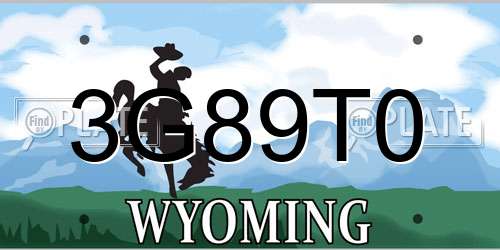 3G89T0 Wyoming License Plate