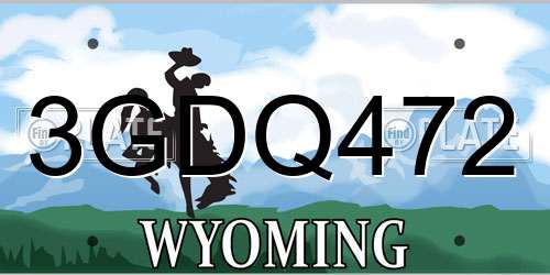 3GDQ472 Wyoming License Plate