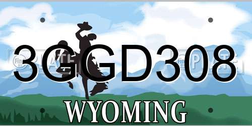 3GGD308 Wyoming License Plate