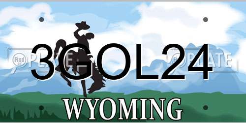 3GOL24 Wyoming License Plate