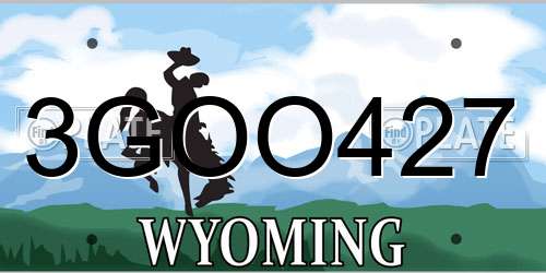 3GOO427 Wyoming License Plate
