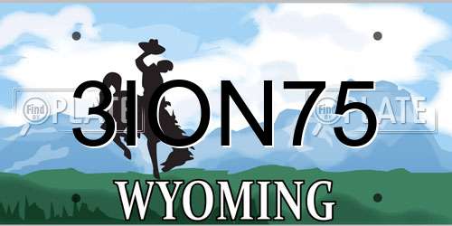 3ION75 Wyoming License Plate