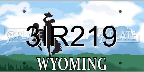 3IR219 Wyoming License Plate