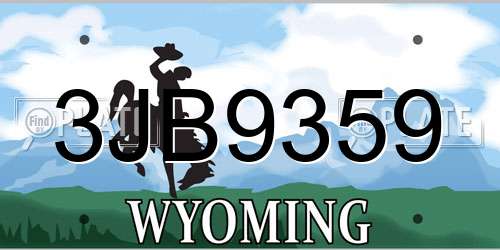 3JB9359 Wyoming License Plate