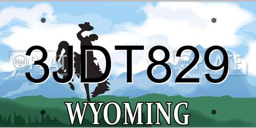 3JDT829 Wyoming License Plate