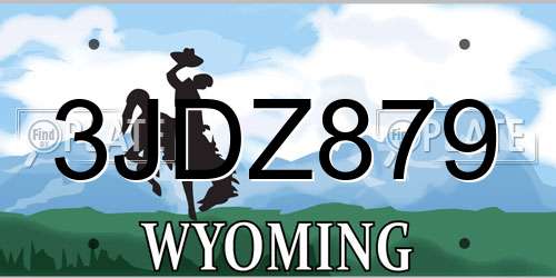 3JDZ879 Wyoming License Plate