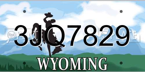 3JQ7829 Wyoming License Plate
