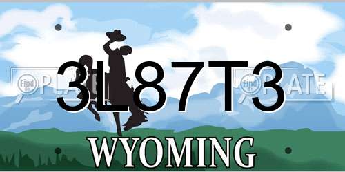 3L87T3 Wyoming License Plate