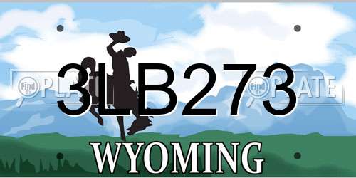 3LB273 Wyoming License Plate