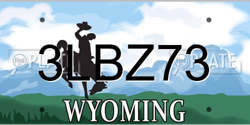 3LBZ73 Wyoming License Plate